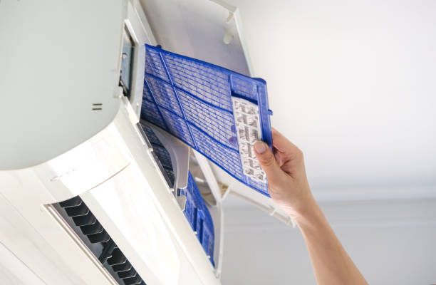 Best Air Duct Sanitizing Services  in Arthur, IL